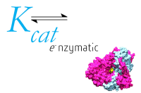 Kcat enzymatic private limited