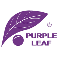 Purple leaf - taiwan