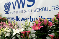 VWS Export - Import of Flowerbulbs BV