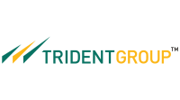 Trident it group