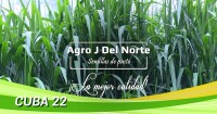 Agro j del norte - semillas de pasto para ganado - cuba 22