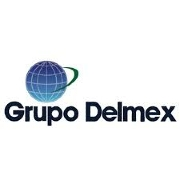 Grupo delmex