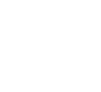Flying pet - assessoria de viagem pet internacional