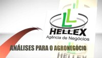 Hellex agencia de negócios