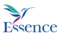 Essence consulting