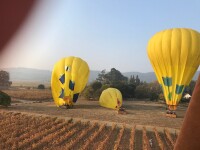 Calistoga Hot Air Balloons - Napa Valley