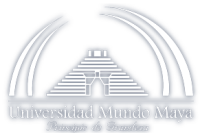 Universidad mundo maya