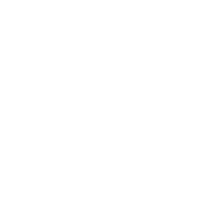 White rabbit photography