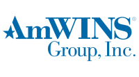 Amwins group