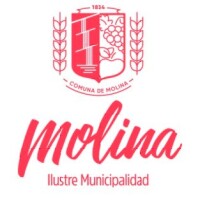 Ilustre municipalidad de Molina