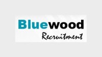 Bluewood recruitment ltd
