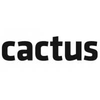 Cactus creative consultants