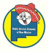 Public service company of new mexico (pnm)