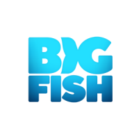 Bigfish resourcing limited