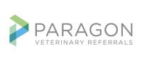 Christchurch veterinary referrals