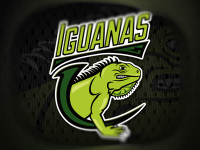Iguana training