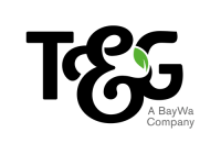 T&g group of companies