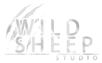 Wild sheep studio