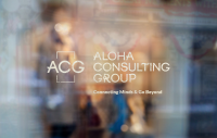 Aloa consulting