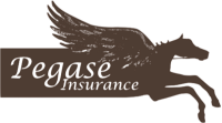 Pegase insurance