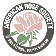 Rose-association