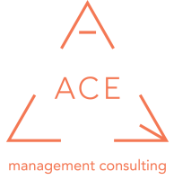 Ace consulting - investment services