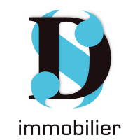 Ds immobilier