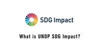 Sdg impact alliance