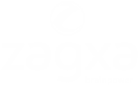 Zagxa consulting