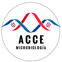 Acce microbiología