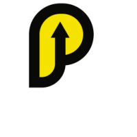 Pysesa