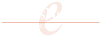 Express network legal support network, llc