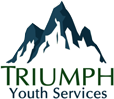 Triumph youth services, llc