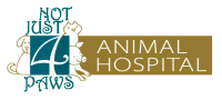 4 paws animal hospital