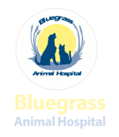 Bluegrass animal hospital