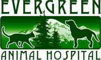 Evergreen animal hospital