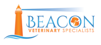 Beacon veterinary specialists