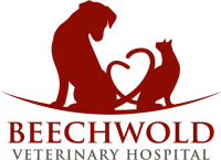 Beechwold veterinary hospital
