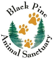 Black pine animal sanctuary