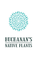 Buchanan's native plants
