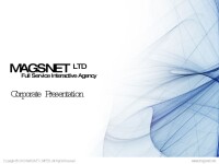 Magsnet Limited
