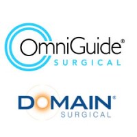 Domain surgical, inc.