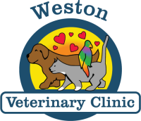 Weston veterinary clinic