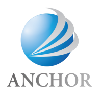 The anchor group
