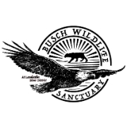 Busch wildlife sanctuary