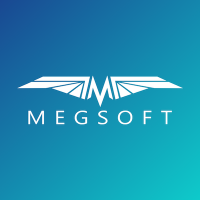 Megsoft Consulting Inc