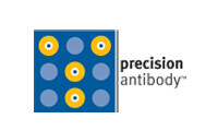 Precision antibody