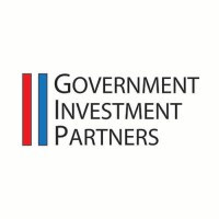 Government investment partners