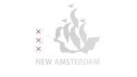 New amsterdam technology & business ventures