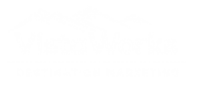 Vista Works